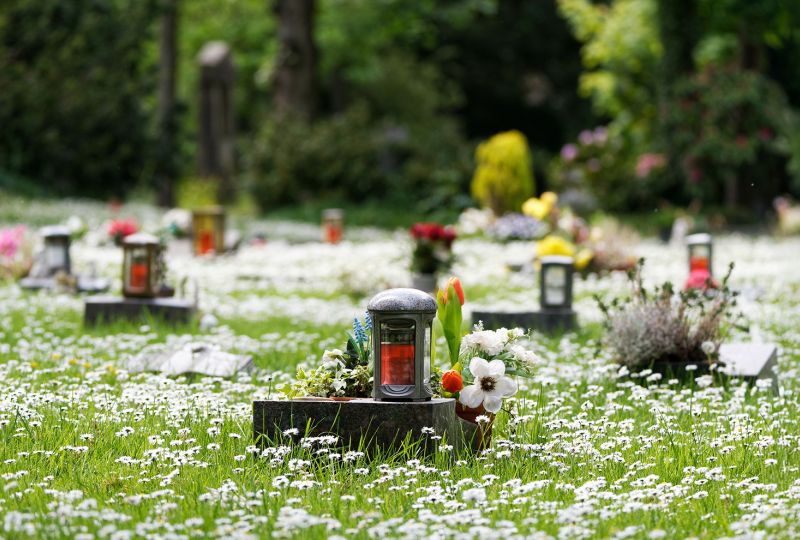 Seebestattung - Piet&auml;t Wegmann in Aschaffenburg