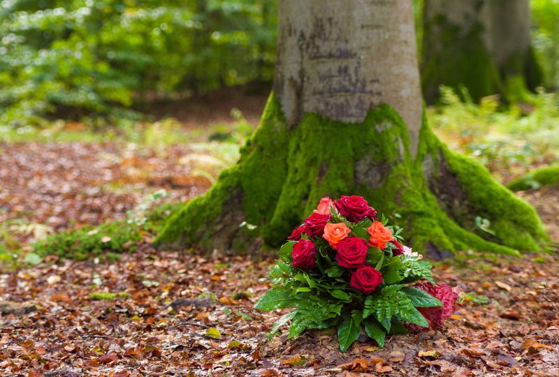 Hilfe im Trauerfall? - Pietät Wegmann in Aschaffenburg