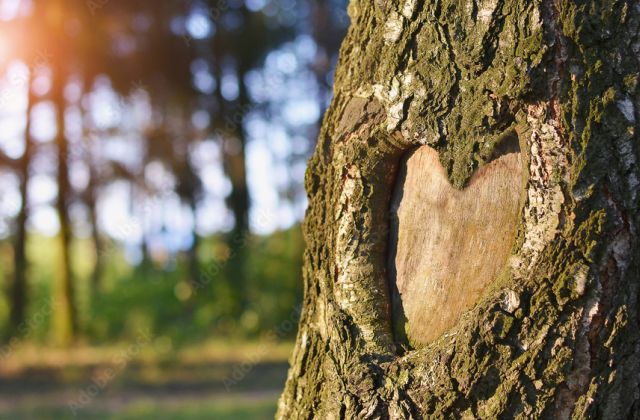 Pietät Wegmann - Einfühlsame Begleitung