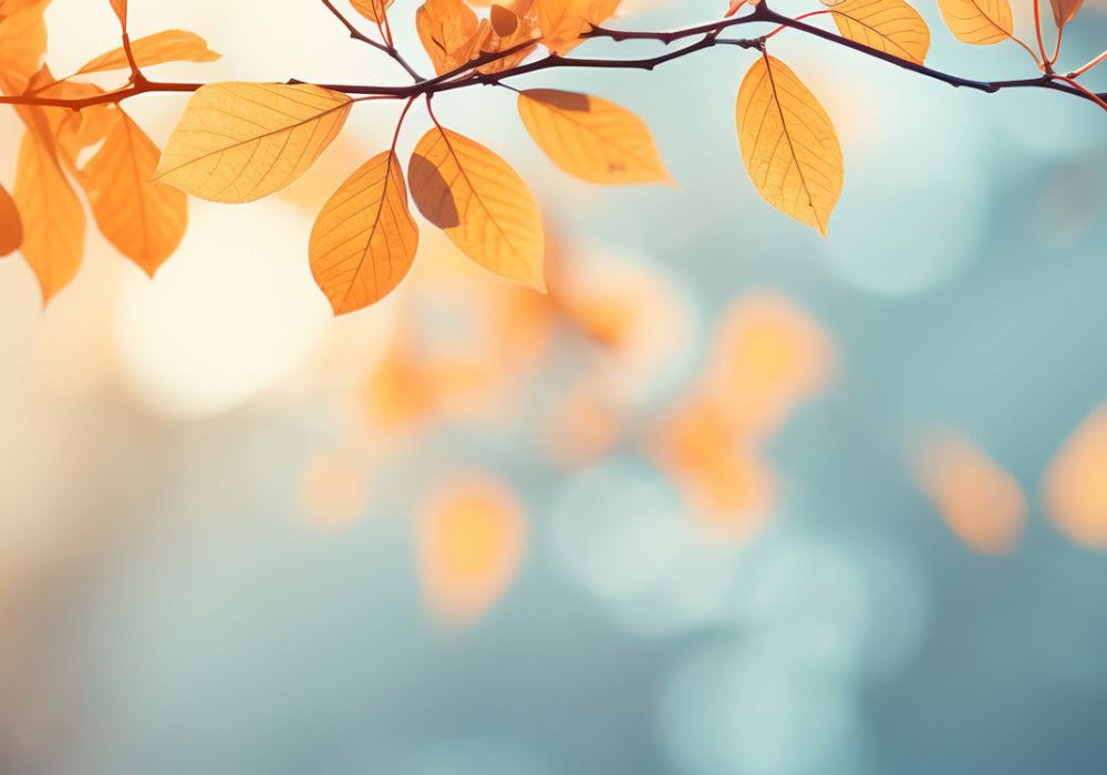 Danksagungsanzeigen und Danksagungskarten bei Pietät Wegmann in Aschaffenburg