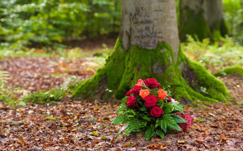 Naturbestattung - Pietät Wegmann Aschaffenburg