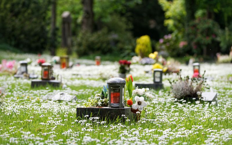 Pflegefreie Grabarten - Pietät Wegmann Aschaffenburg